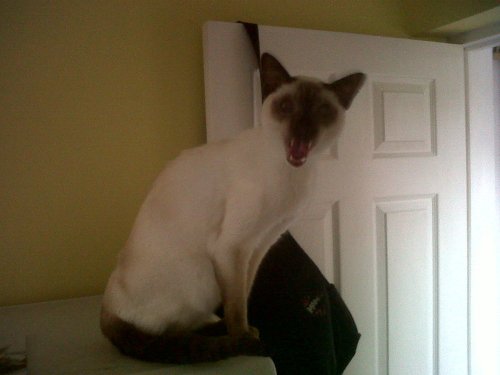 Img00038-20100922-0752