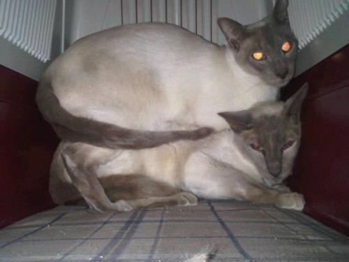 Img00804-20101229-1514