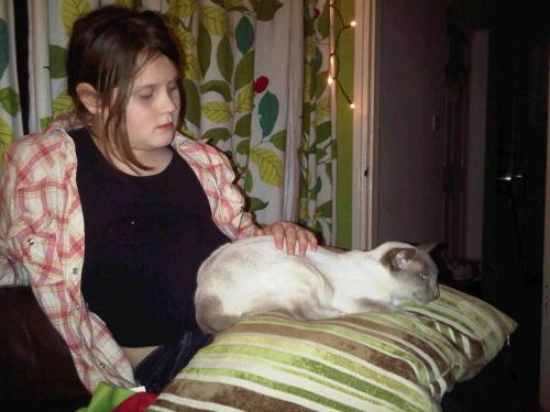 Img00817-20101230-1903