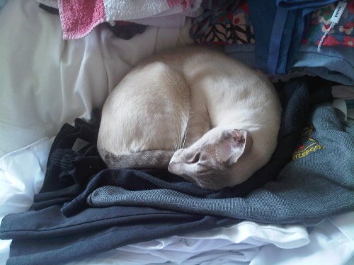 Img00016-20100414-1206