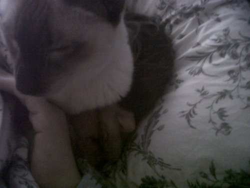 Img00129-20110116-1111