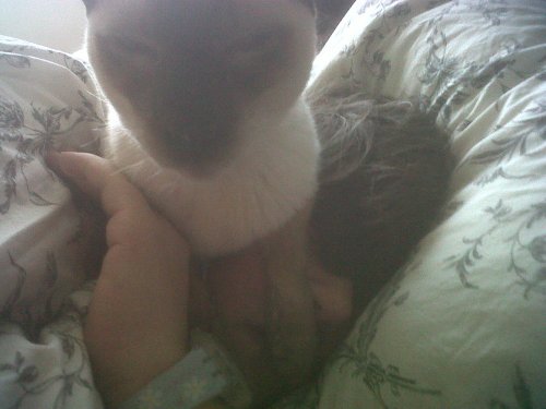 Img00130-20110116-1111