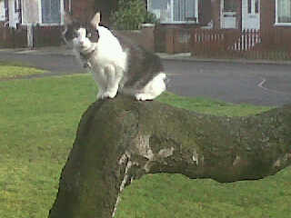 Img00134-20110117-1314