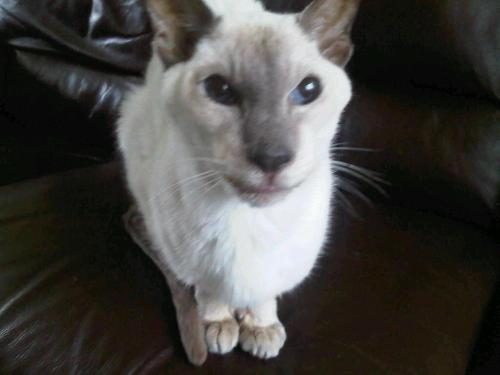 Img00837-20110102-1427