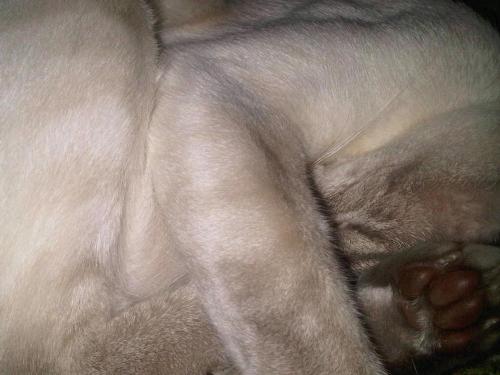 Img00847-20110103-1611