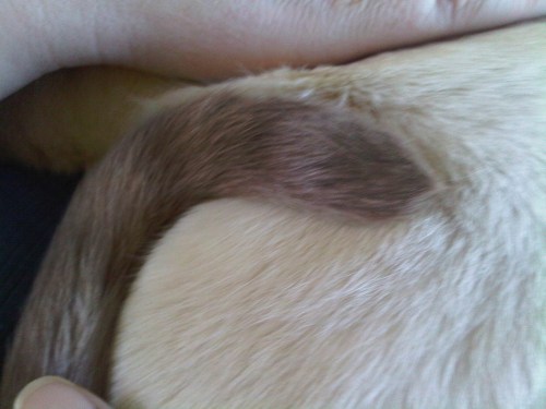 Img00878-20110108-1329