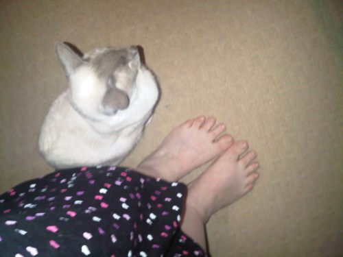 Img00891-20110111-0703