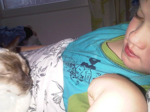 Img00927-20110117-0857