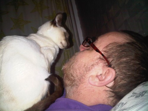 Img00969-20110128-1752