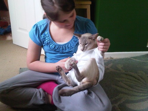 Img01082-20110219-1341