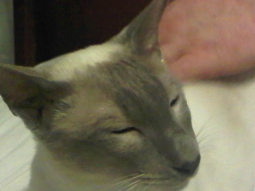 Img01112-20110224-1846