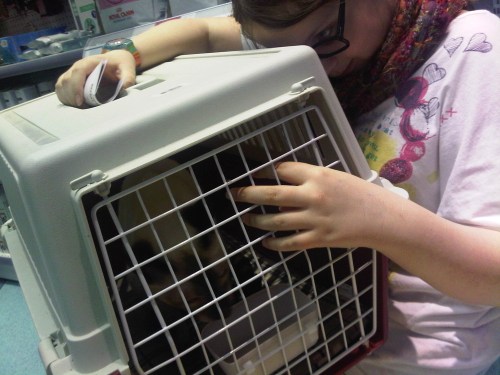 Img01129-20110225-1734