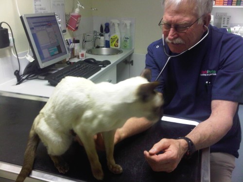 Img01132-20110225-1745