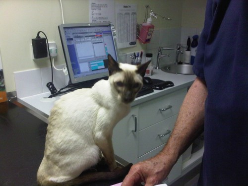 Img01133-20110225-1754