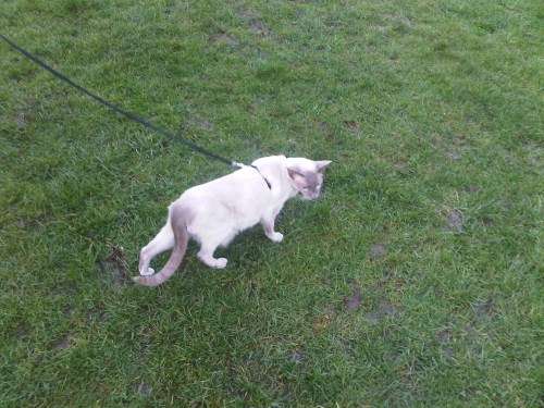 Img01139-20110226-1608