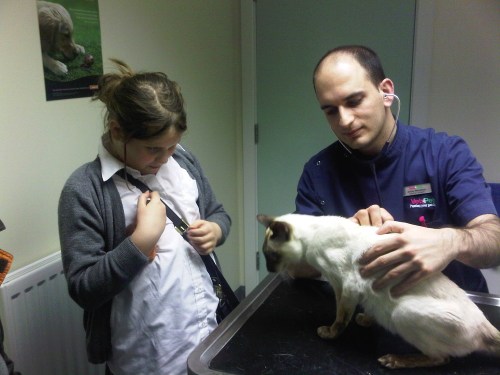 Img01152-20110302-1800