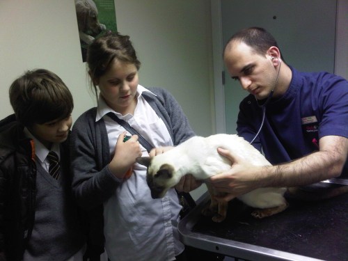 Img01153-20110302-1800