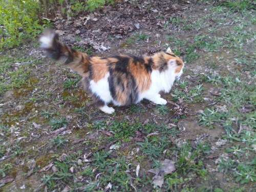 Img01389-20110323-1841