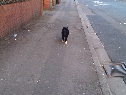 Img01479-20110328-1835