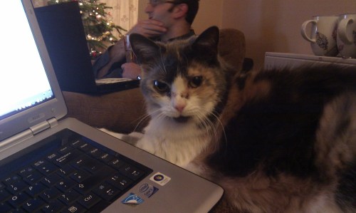 Phoebe_helena_butterfield