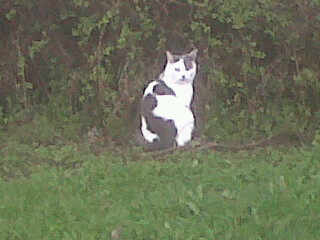 Img00171-20110330-1040