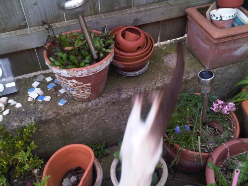 Img01499-20110402-1733