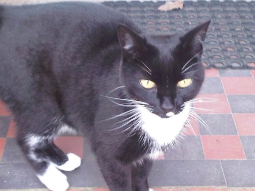 Img01570-20110416-1233