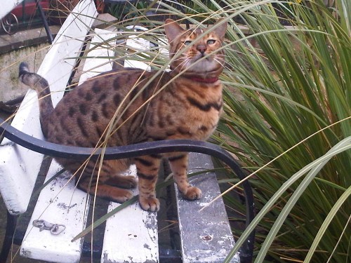 Img00210-20100402-1303