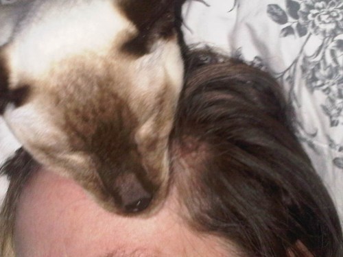 Img01755-20110519-2050