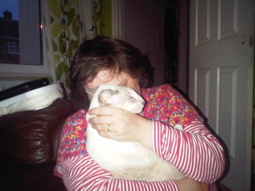 Img01798-20110529-2149