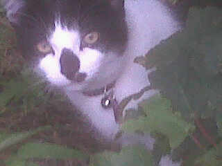 Img00220-20110630-1021