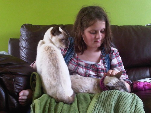 Img01839-20110601-1300