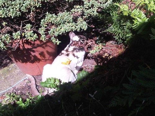 Img01882-20110603-1520