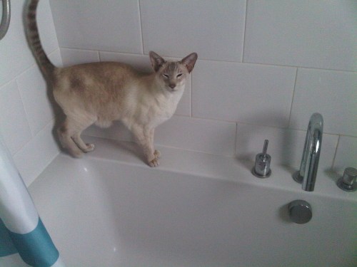 Img02016-20110613-0538