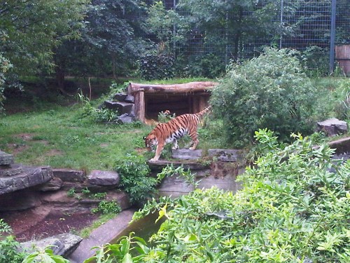 Img02079-20110620-1534