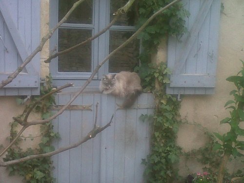 Img00015-20110326-1701