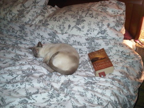 Img02482-20110803-2335