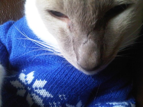 Img02502-20110806-1458