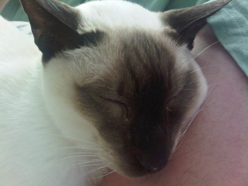 Img02526-20110815-0750