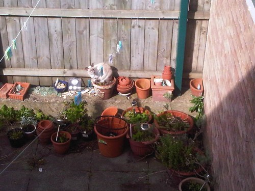 Img02534-20110817-1043