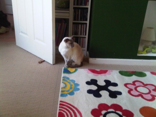 Img02559-20110819-2002