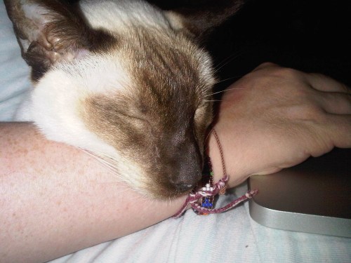 Img02569-20110823-2130