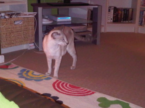 Img02583-20110827-2203