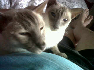 Img00289-20110921-1843