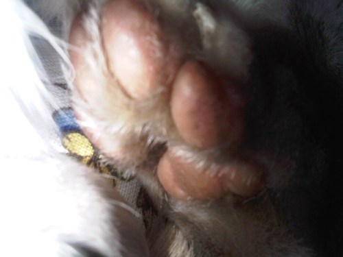 Img02629-20110903-1803