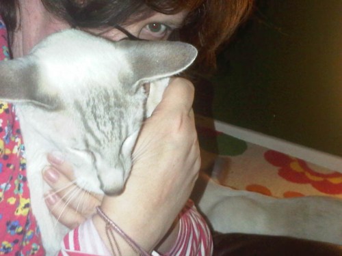 Img02688-20110910-2253