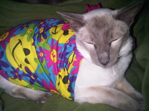 Img02692-20110911-1938