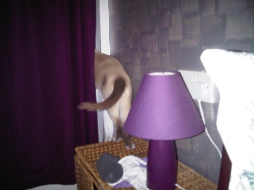 Img02726-20110913-2139