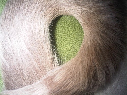 Img02751-20110916-2219