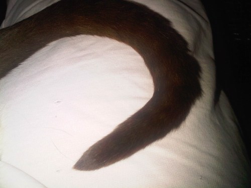 Img02818-20110930-2039